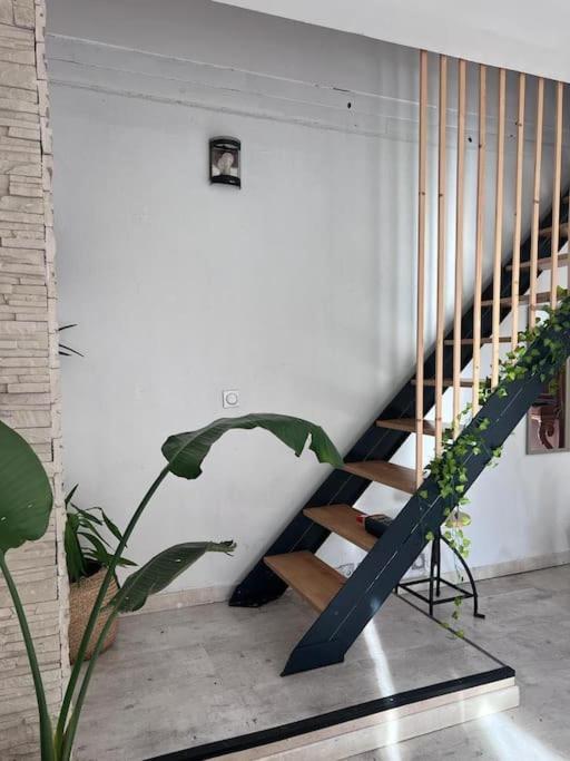Maison Type 4 Et Jardin Spacieux Signes Zewnętrze zdjęcie